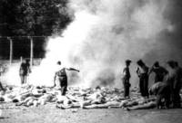 Mitglieder des Sonderkommandos bei den offenen 
Leichenverbrennungsgruben hinter Krematorium V. Die Aufnahmen wurden von der Widerstandsbewegung während 
der Ungarn-Aktion im Sommer 1944 gemacht und aus dem Lager geschmuggelt.