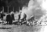 Mitglieder des Sonderkommandos bei den offenen 
Leichenverbrennungsgruben hinter Krematorium V. Die Aufnahmen wurden von der Widerstandsbewegung während 
der Ungarn-Aktion im Sommer 1944 gemacht und aus dem Lager geschmuggelt.