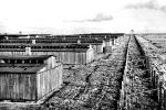 KZ Majdanek